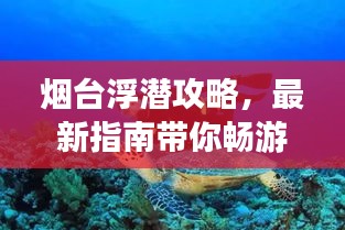 烟台浮潜攻略，最新指南带你畅游海底世界！