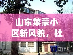 山东莱蒙小区新风貌，社区新闻头条下的居民生活新篇章