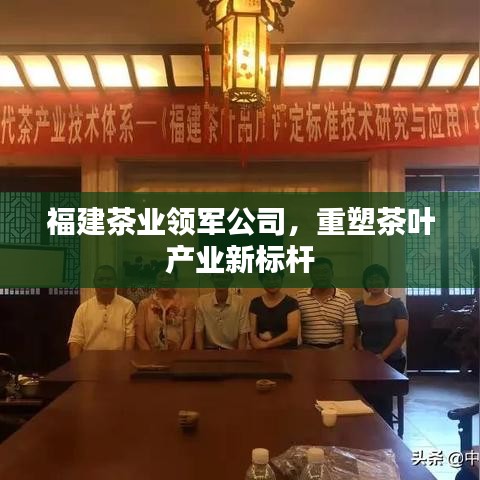 福建茶业领军公司，重塑茶叶产业新标杆