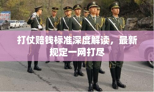 打仗赔钱标准深度解读，最新规定一网打尽