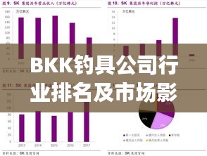 BKK钓具公司行业排名及市场影响力深度解析
