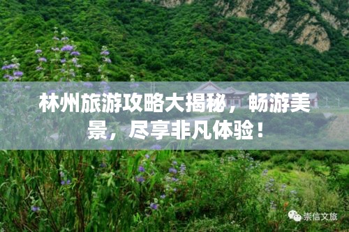林州旅游攻略大揭秘，畅游美景，尽享非凡体验！