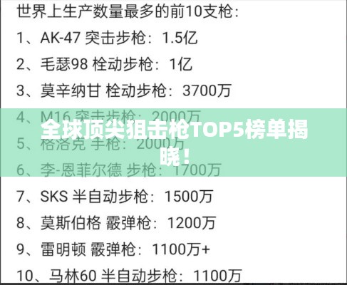 全球顶尖狙击枪TOP5榜单揭晓！