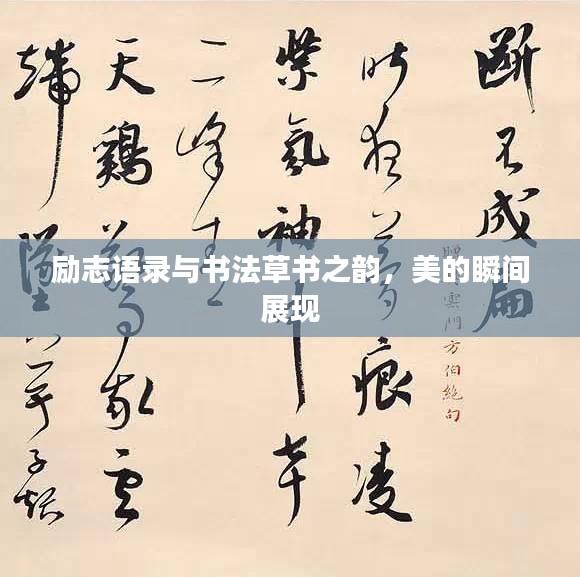 励志语录与书法草书之韵，美的瞬间展现
