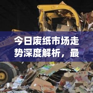 今日废纸市场走势深度解析，最新评论与行业洞察