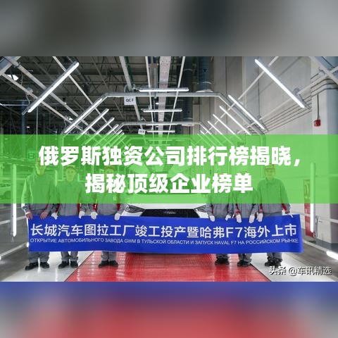 俄罗斯独资公司排行榜揭晓，揭秘顶级企业榜单