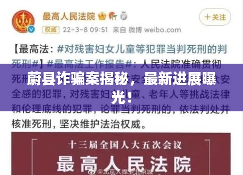 蔚县诈骗案揭秘，最新进展曝光！