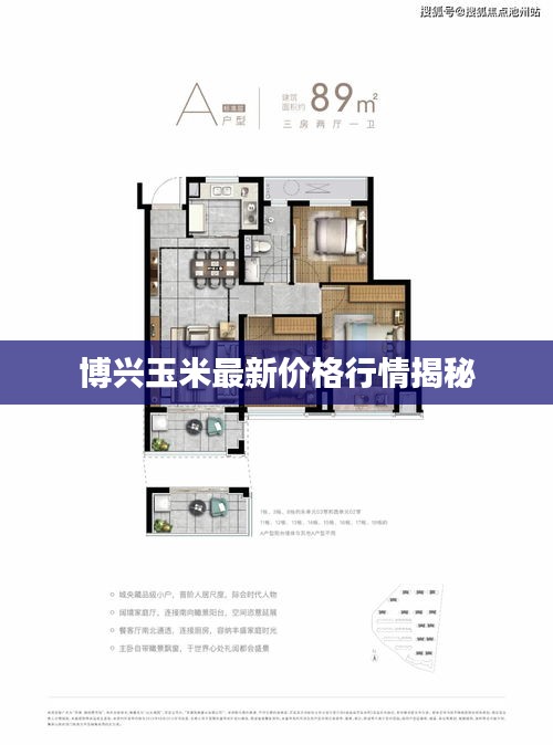 博兴玉米最新价格行情揭秘