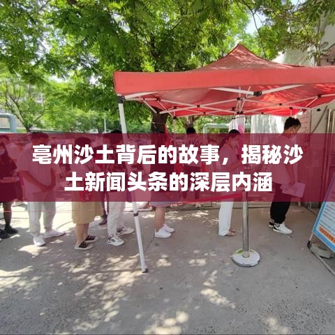 亳州沙土背后的故事，揭秘沙土新闻头条的深层内涵
