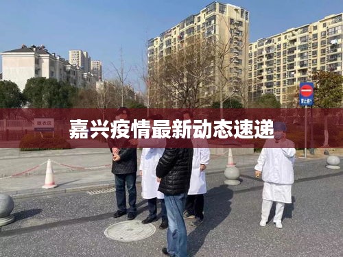 嘉兴疫情最新动态速递