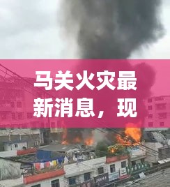 马关火灾最新消息，现场情况与救援进展揭秘