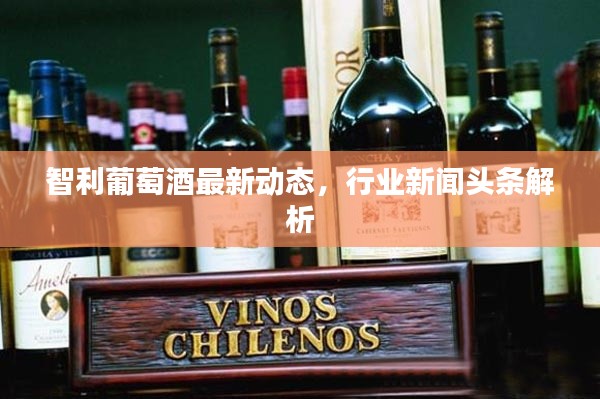智利葡萄酒最新动态，行业新闻头条解析