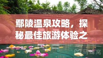 鄢陵温泉攻略，探秘最佳旅游体验之道