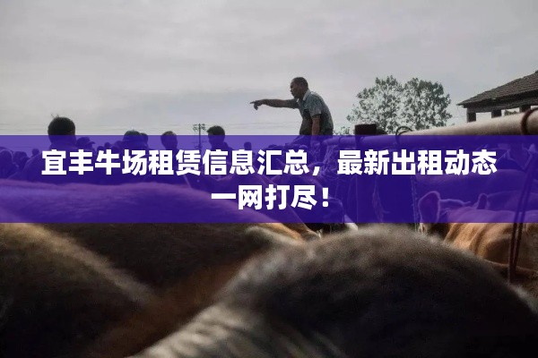 宜丰牛场租赁信息汇总，最新出租动态一网打尽！