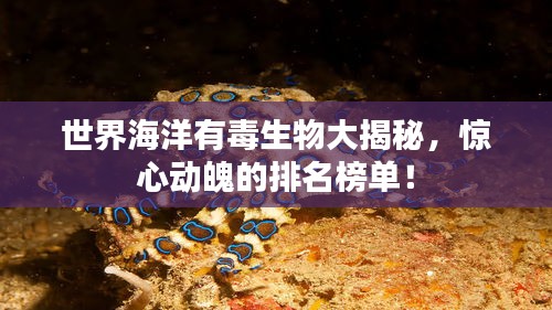 世界海洋有毒生物大揭秘，惊心动魄的排名榜单！