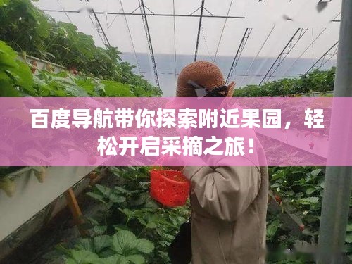 百度导航带你探索附近果园，轻松开启采摘之旅！