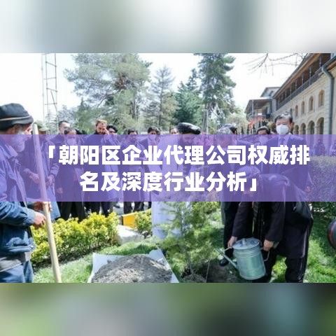 「朝阳区企业代理公司权威排名及深度行业分析」