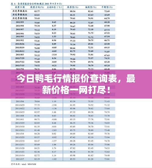 今日鸭毛行情报价查询表，最新价格一网打尽！