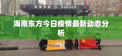 海南东方今日疫情最新动态分析