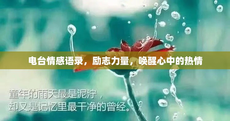 电台情感语录，励志力量，唤醒心中的热情