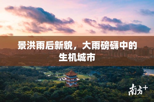 景洪雨后新貌，大雨磅礴中的生机城市