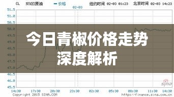 今日青椒价格走势深度解析