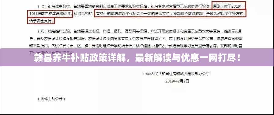 赣县养牛补贴政策详解，最新解读与优惠一网打尽！