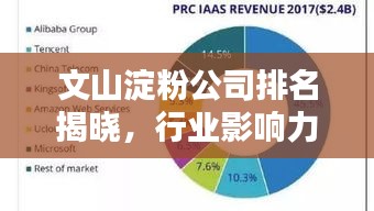 文山淀粉公司排名揭晓，行业影响力不容小觑