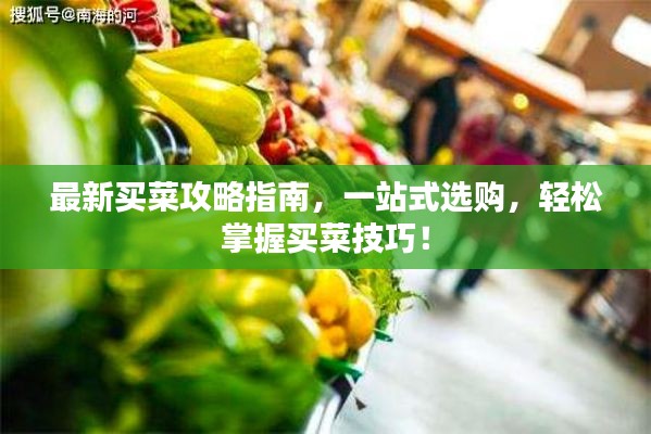 最新买菜攻略指南，一站式选购，轻松掌握买菜技巧！