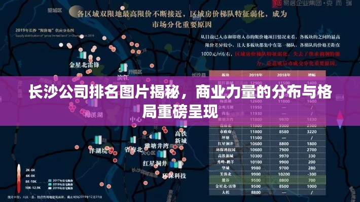 长沙公司排名图片揭秘，商业力量的分布与格局重磅呈现