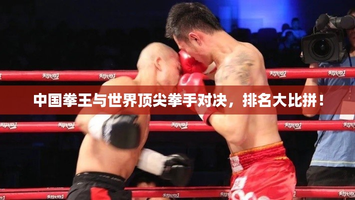中国拳王与世界顶尖拳手对决，排名大比拼！