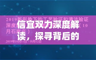 信宜双力深度解读，探寻背后的力量与魅力