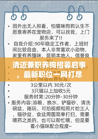 清迈兼职养狗招募启事，最新职位一网打尽