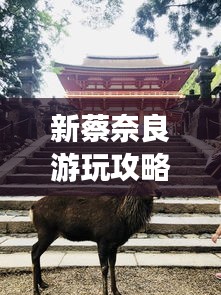 新蔡奈良游玩攻略大全