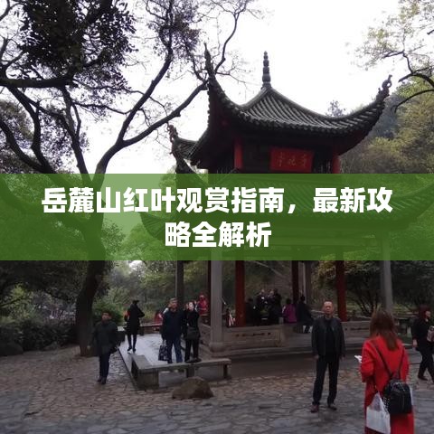 岳麓山红叶观赏指南，最新攻略全解析