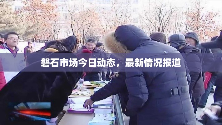 磐石市场今日动态，最新情况报道