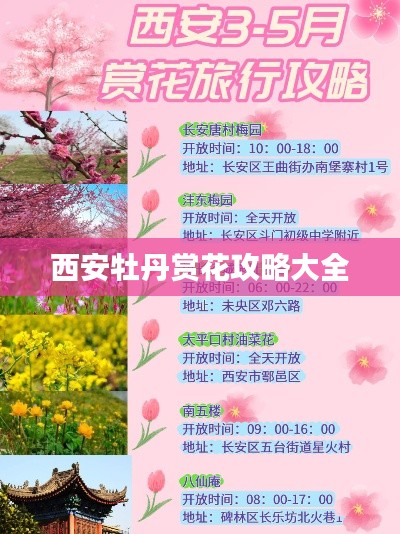 西安牡丹赏花攻略大全