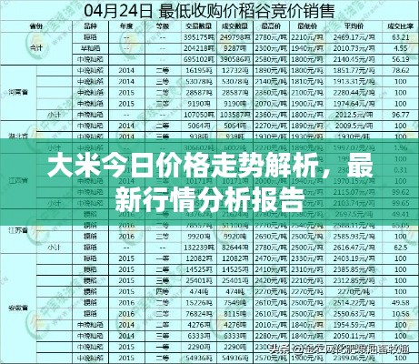 大米今日价格走势解析，最新行情分析报告