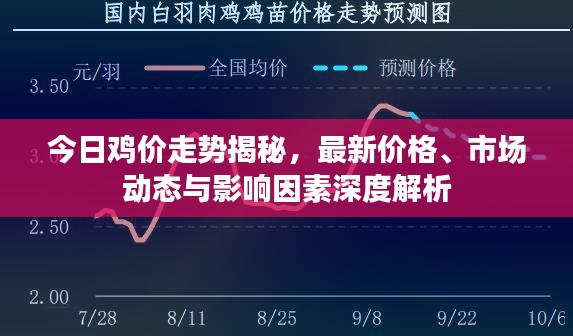 今日鸡价走势揭秘，最新价格、市场动态与影响因素深度解析