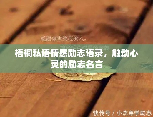 梧桐私语情感励志语录，触动心灵的励志名言