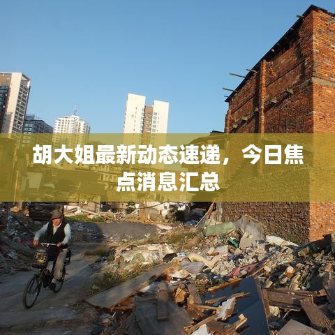 胡大姐最新动态速递，今日焦点消息汇总