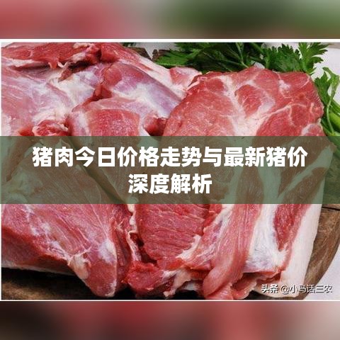 猪肉今日价格走势与最新猪价深度解析