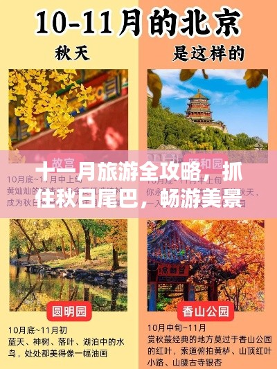 十一月旅游全攻略，抓住秋日尾巴，畅游美景盛宴