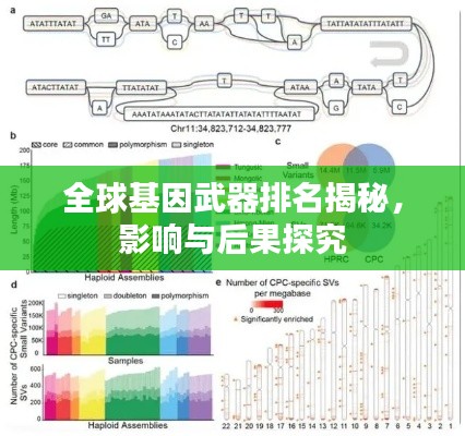 全球基因武器排名揭秘，影响与后果探究
