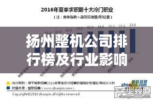 扬州整机公司排行榜及行业影响力解析