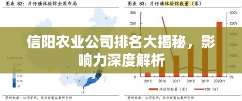 信阳农业公司排名大揭秘，影响力深度解析