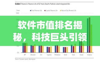 软件市值排名揭秘，科技巨头引领市场潮流，前十名榜单全解析！