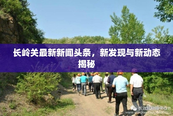 长岭关最新新闻头条，新发现与新动态揭秘
