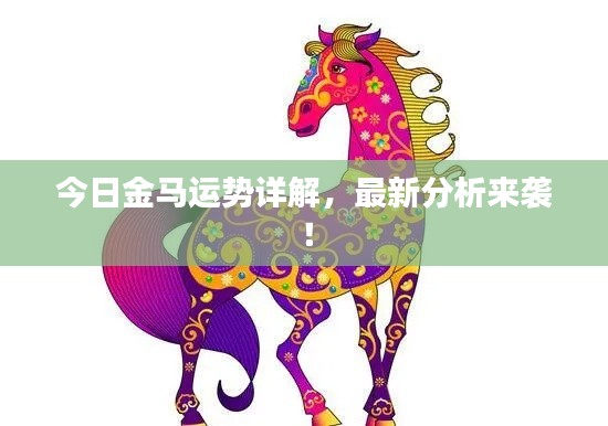 今日金马运势详解，最新分析来袭！