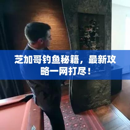 芝加哥钓鱼秘籍，最新攻略一网打尽！